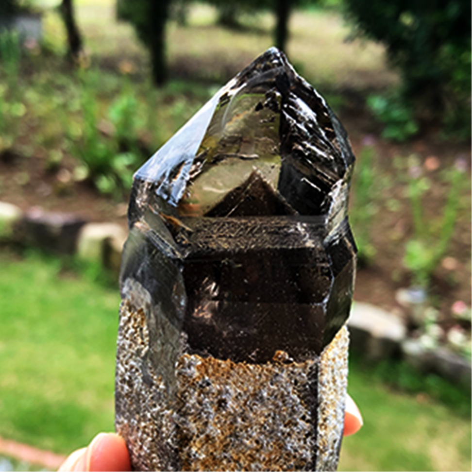 MASTER.SISI.eternally8